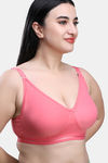 Maroon Clothing Single Layered Non Wired Full Coverage T-Shirt Bra (Pack of 2) - Multicolor — thumbnail 3